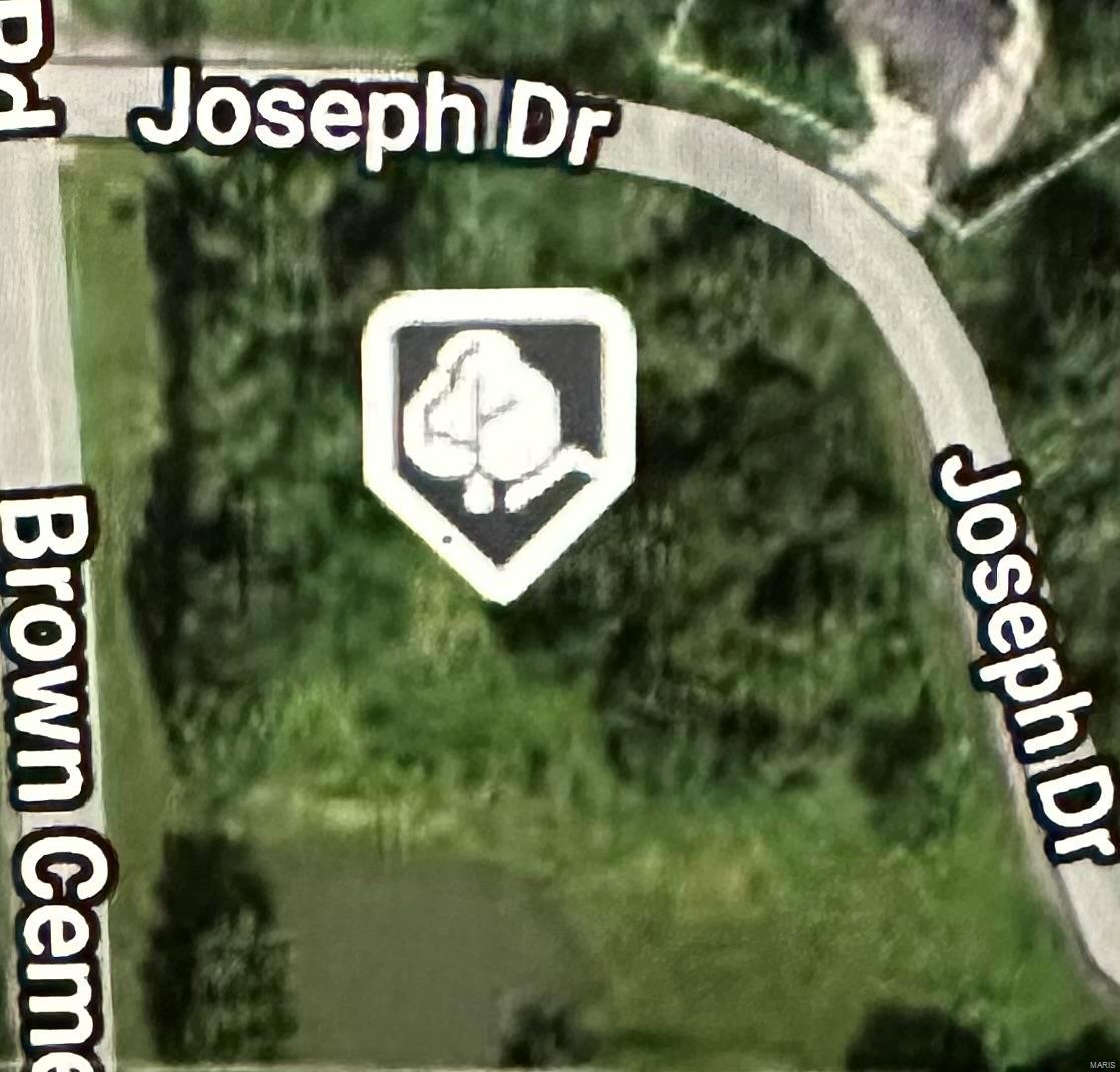  0 Joseph Drive Pocahontas, IL